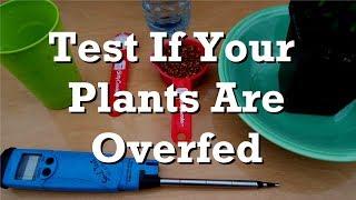 Test if Your Plants are Over-fertilized by Direct Stick EC