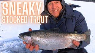 How to Find Big Stocked Rainbow Trout Ice Fishing a Lake