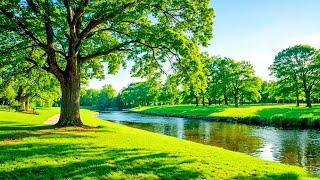 Gentle Music, Calms The Nervous System And Pleases The Soul  Healing Music For Heart And Blood #6