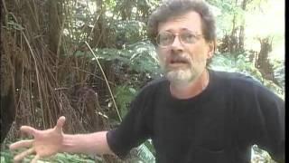 Terence McKenna - Interview Hawaii - October 1998