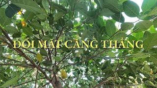 Đối mặt căng thẳng | N.G.M nói chuyện với fans | Café Tâm sự | Số 09 – 2024