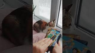 Цыганское гадание #точноепредсказание #точноегадание