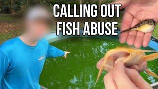 We Must put an End to Fish Abuse on YouTube