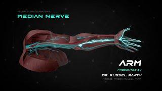 Locating and Treating the Median Nerve - Stimpod NMS460