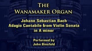 Wanamaker Organ: John Binsfeld plays Adagio Cantabile from Violin Sonata in A minor by Bach