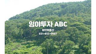 임야투자 ABC- 임야투자시 꼭 아셔야 할 사항들 간단정리