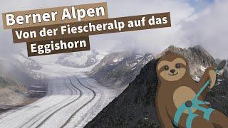 Wanderung auf das Eggishorn | Berner Alpen