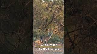 Air Rifle Deer Hunt