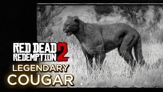 Red Dead Redemption 2 - Legendary Cougar