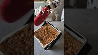 Lazy Cookies Bars - Easiest 3 ingredients Cake Mix Cookie Bars for Christmas