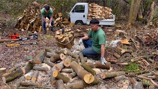 手割り半日作業で¥65,000分の薪を割った日。3月の薪作りは追い込みです。