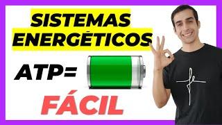 SISTEMAS ENERGÉTICOS (fácil y sencillo) ATP-PC