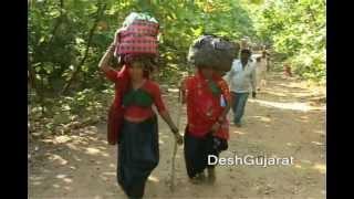 Girnar Lili Parikrama begins