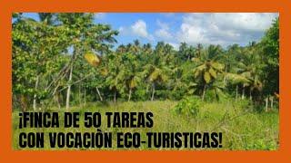 Finca de 50 tareas Con vocación Eco-turístico Samaná R.D