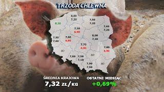 #232 agro wiadomości nonstop - 28.11.2023