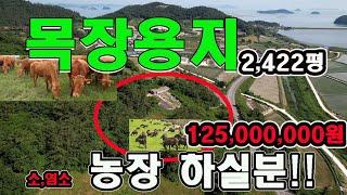 물건번호925,바닷가 목장용지 토지면적2422평,무허가 축사동(130평)과 관리동(50평),동물농장 하실분,면적:2422평,매매가격125,000,000원