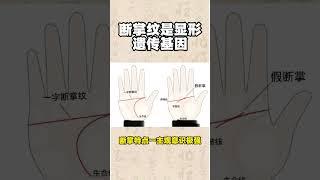 #手相 #八字算命 #palmistry