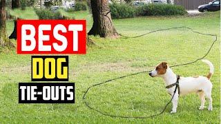 Top 5 Best Dog Tie Outs and Yard Leashes for Safety on a Line