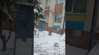 Колесниченко Юрий Игоревич Киев