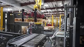 Robotic ITL Case Packer, Robotic Case Palletizer - Adhesive Tubes - BW Integrated Systems