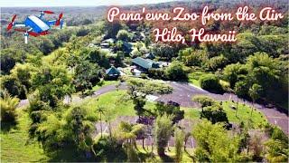 Hawaii Travel Video: Panaewa Zoo and Rainforest