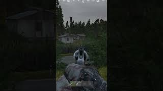 357 Headshot Dayz #shorts #dayz #dayzbattleground #dayzclips #dayzgameplay #gameplay #357