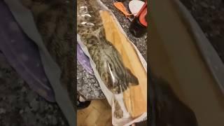 Странный багет