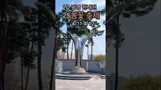 4/10.#광명시 봄꽃이 활짝 핀 한내천에서 축제가 열려요!️