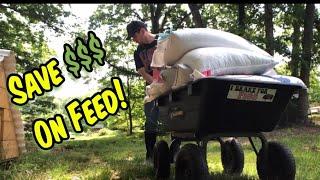 STOP OVERPAYING for FEED!  How I save money!