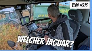 Vlog #275 Maiserte 2024 mit einem Claas Jaguar XXX