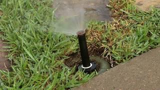 Plano Spring Watering Guidelines