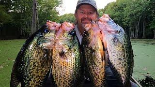 Catch Crappie Like a PRO with These October Vertical Jigging Tips!