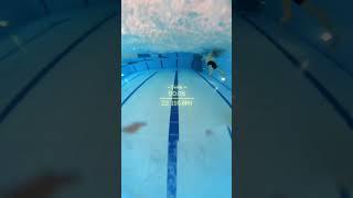 25m butterfly sprint, can you swim faster ‍️? #swimtechnique #swimmer