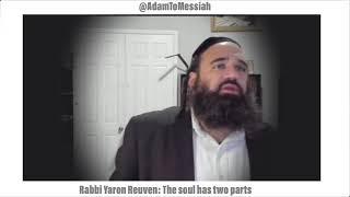 Rabbi Yaron Reuven: The soul has two parts