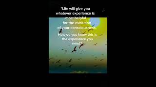 Life will give you whatever experience… Eckhart Tolle