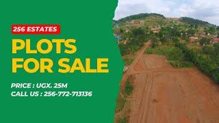 Affordable Land for Sale in Kakiri - Kikugi Town | 256 Estates Uganda