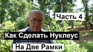 Пасека №125 Как построить нуклеус на две рамки Пчеловодство для начинающих