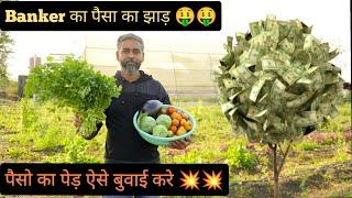 Banker ने Farm को बना डाला Bank || Agriculture Banking || Hello Kisaan