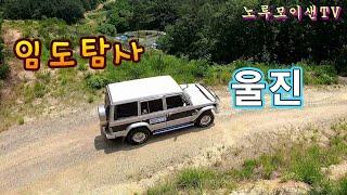 오지산골 임도 탐사여행// A급 오프로드 임도 공개//노지 차박캠핑!!