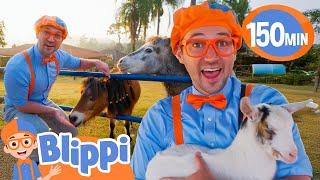 What’s It Like to Care for Zoo Animals?  Blippi Visits a Pet Zoo! | Educational Videos for Kids