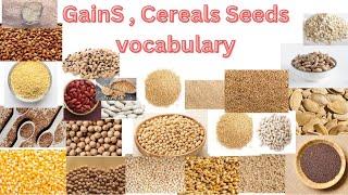 Grains vocabulary in English with pictures and pronunciation | Cereals and seeds | learn English