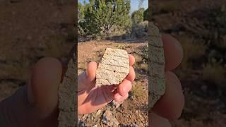 Finding Prehistoric Artifacts In The Desert - Pit House And Pottery