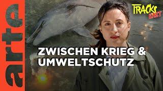 Delfinsterben, giftiger Staub und Müll - die Folgen des Krieges für die Umwelt | Tracks East | ARTE