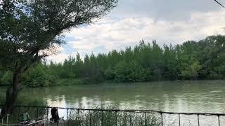 Timelapse - Danube wetlands