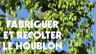 Fabriquer & Récolter Le Houblon : L'Invention d'un Agriculteur