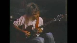 Hear'n Aid "Stars" - The Guitarist