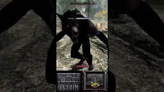 The many deaths of Skyrim #237