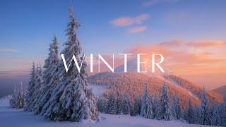 Beautiful Music for Calm, Peace, Relax | Guitar & Piano | Winter