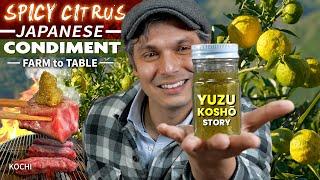 Japanese Spicy Citrus Condiment, not Wasabi? | Yuzu Kosho Story  ONLY in JAPAN