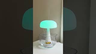 Amazon favorite  Mushroom lamp humidifier with essential oils. Sleep to rain sounds 